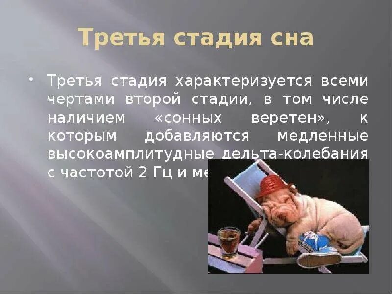 Спи 3 группа