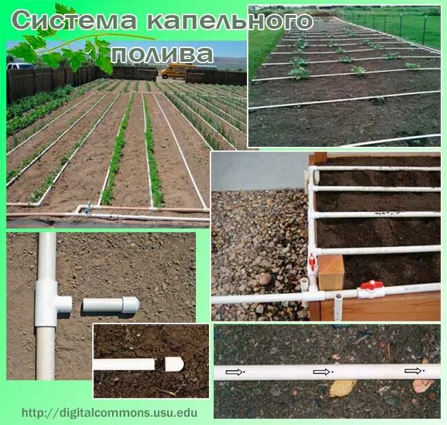Полив своими руками из полипропиленовых. Капельная система в теплице. капельный полив для высоких грядок схема. капельный полив из труб пвх. система капельного полива из полипропиленовых труб.