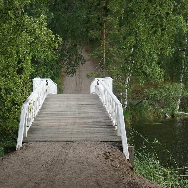 Белый мост в Вильнюсе (Литва) с фото и отзывами