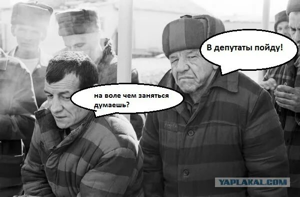 С судимостью можно в депутаты. В депутаты пойду. депутаты с судимостью в думе. вот нынче депутаты пошли. для чего я пошел в депутаты.