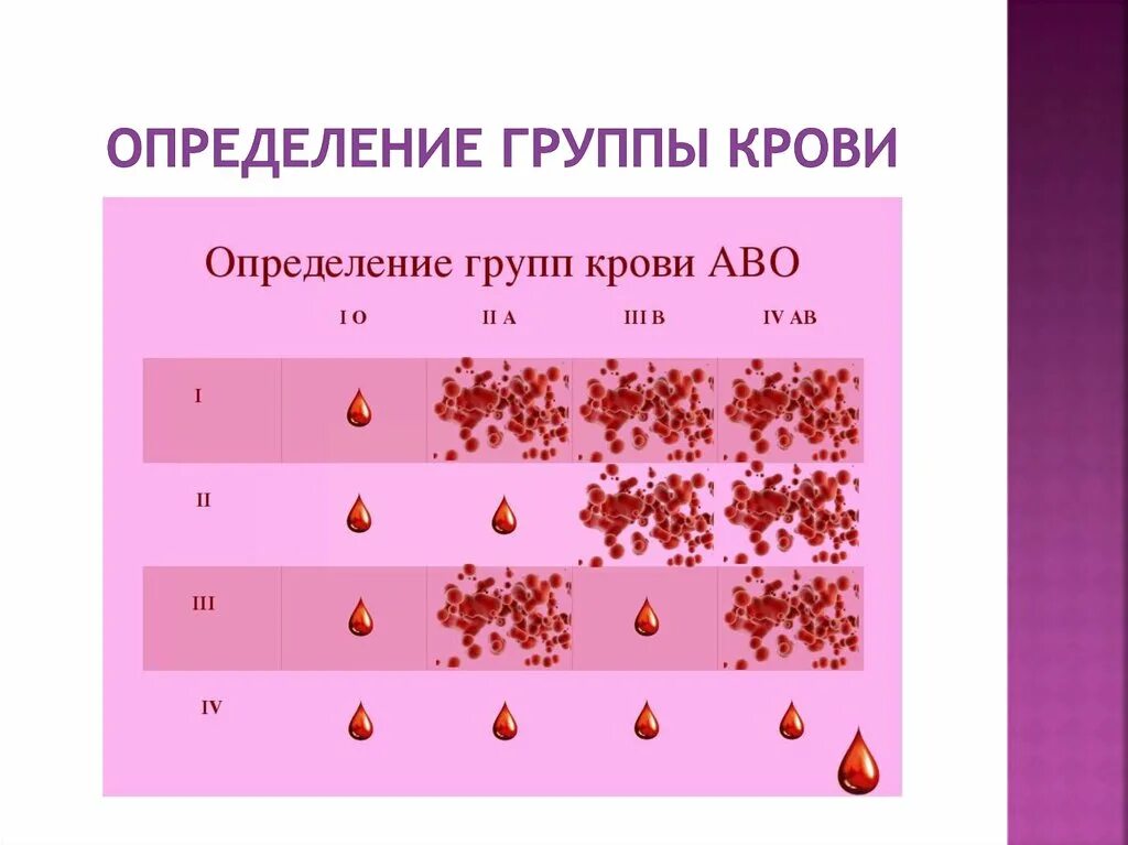 Кровь группы крови. Определение группы крови. Резус-фактор крови под микроскопом. 4 Группа крови. Свертывание крови группы крови