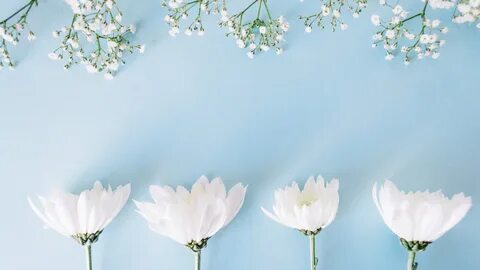 White spring