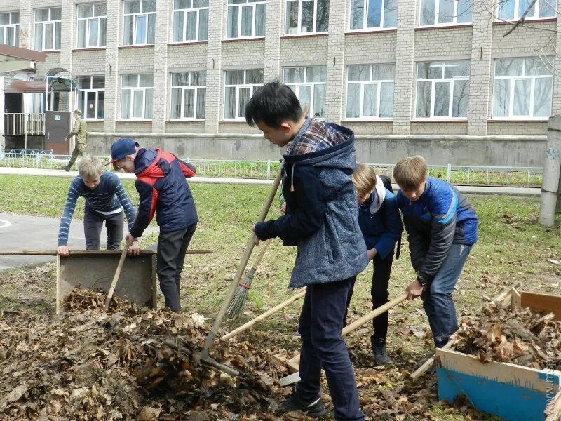 работы для дошкольников. практика на пришкольном участке. самый полезный труд. общественно-полезный труд в школе возвращается. самый полезный труд.