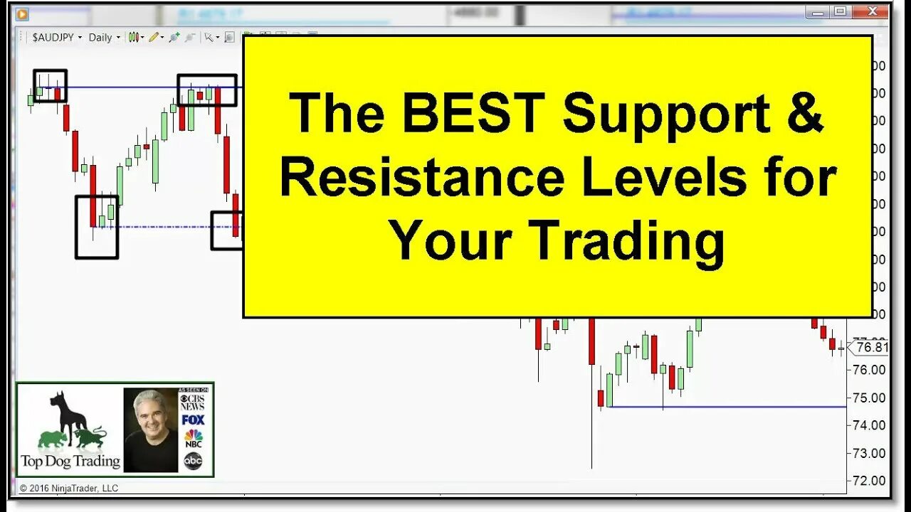 The best beginner trading memefi. Forex trading for beginners. forex trading for beginners pdf. best support.