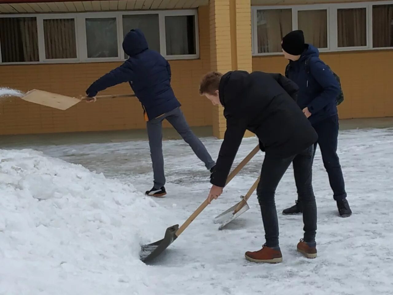 Общественно полезный труд должен быть обязательным. Посадка деревьев. Общественно полезный труд. Субботник. Занятия общественно-полезным трудом.