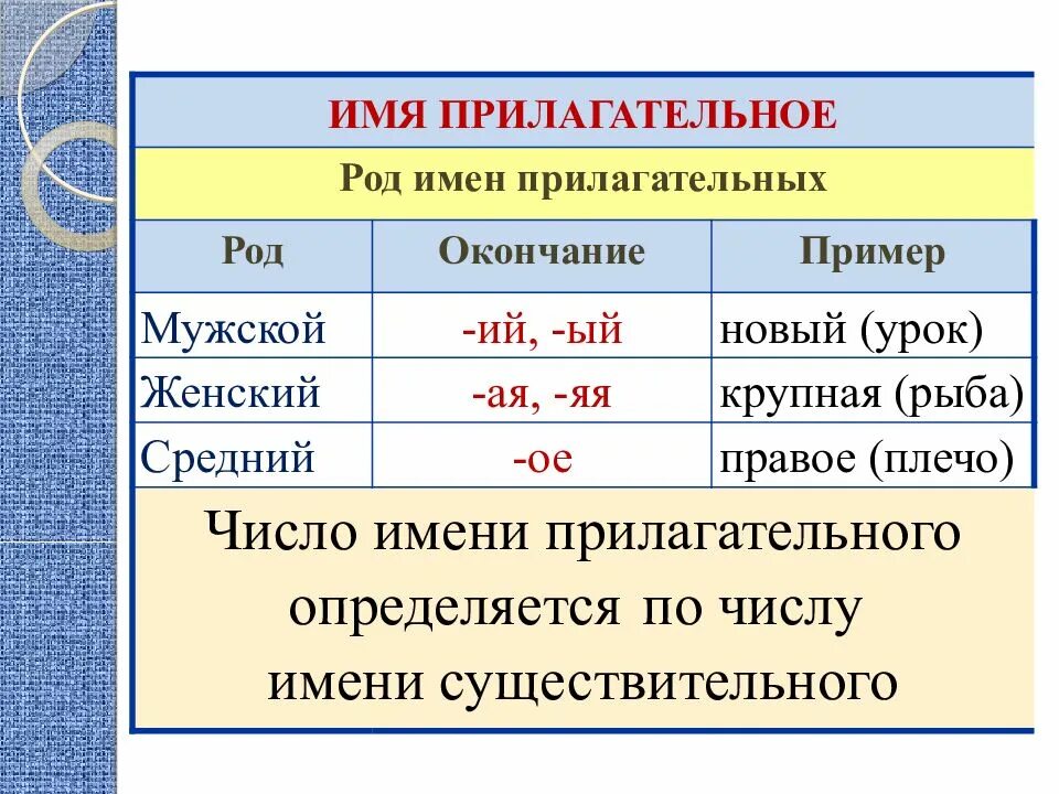 Число в русском языке примеры