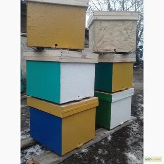 Улей б