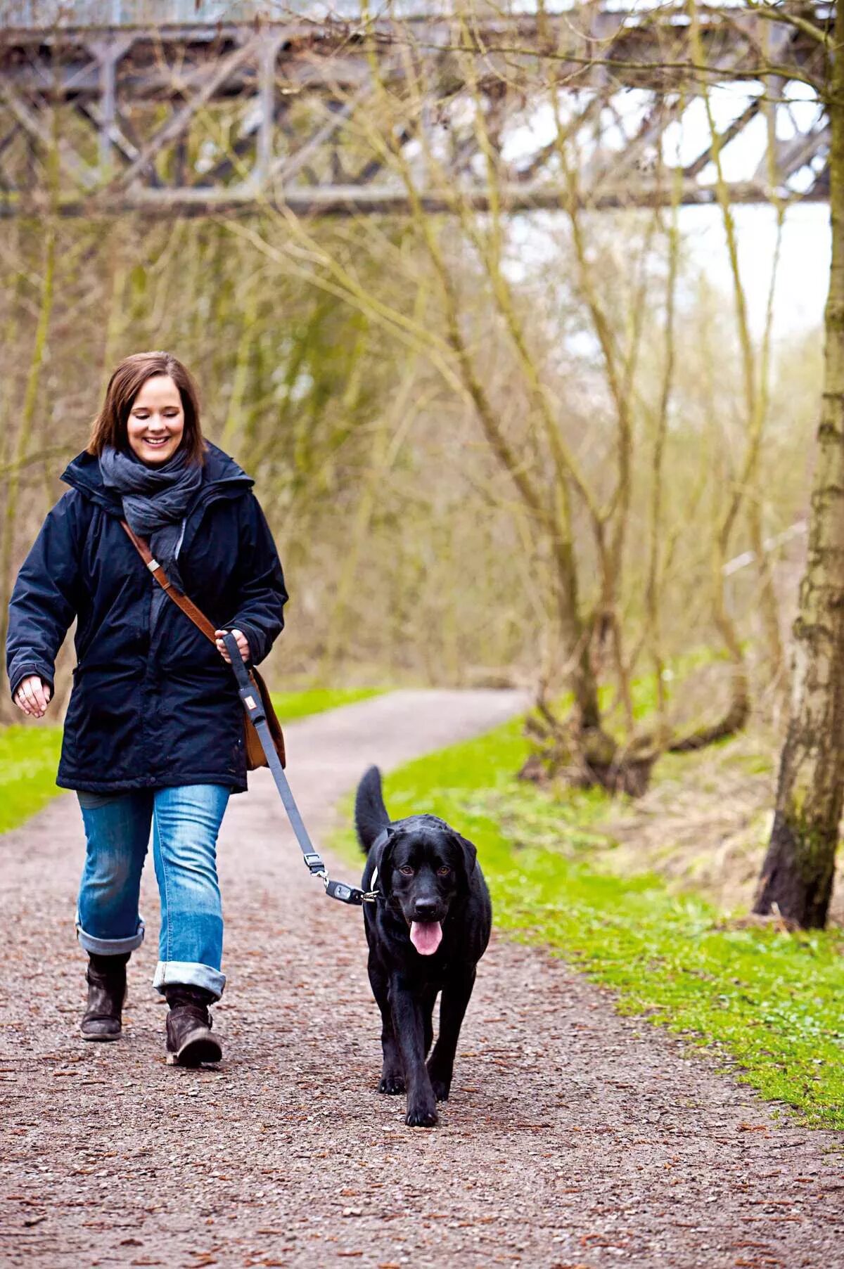 Гулять со. Поводок для собак. Прогулка с собакой. Прогулка с собакой. Выгуливать собаку.