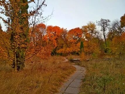 Тут осень