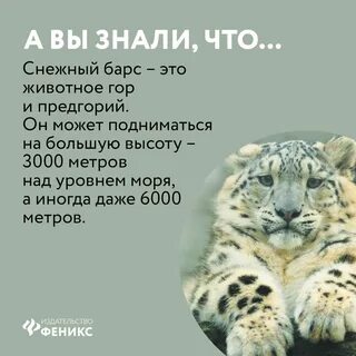 4 факта о животных