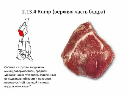 Бедро туши