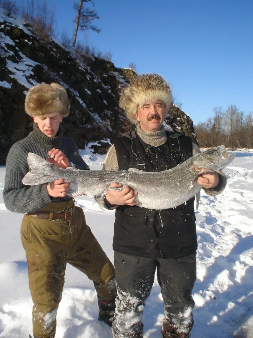 Ловля ленка зимой. Таймень зимняя рыбалка. Зимний хариус Ленок. Зимний ленок