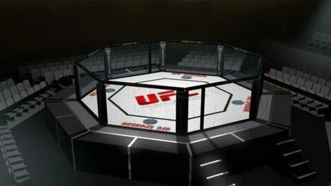 Arena fight