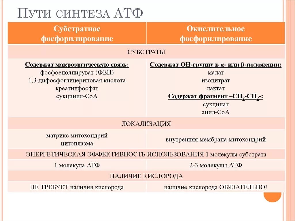 Ведущий механизм синтеза атф. 2 Пути синтеза АТФ. Пути синтеза АТФ субстратное фосфорилирование. Энергетический обмен Синтез АТФ.