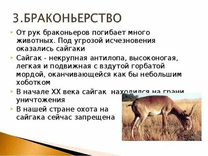 Под исчезла