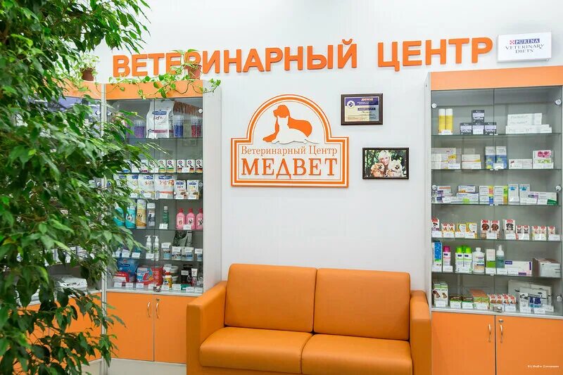 Клиника медвед. Ветеринарный центр МЕДВЕТ Домодедово. Медвед Домодедово ветклиника. МЕДВЕТ ветеринарная клиника Москва. МЕДВЕТ ветеринарная клиника Вернадского 89.