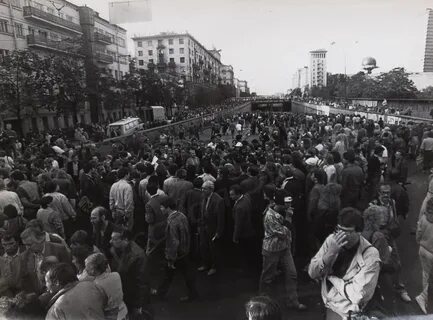 29 января 1991