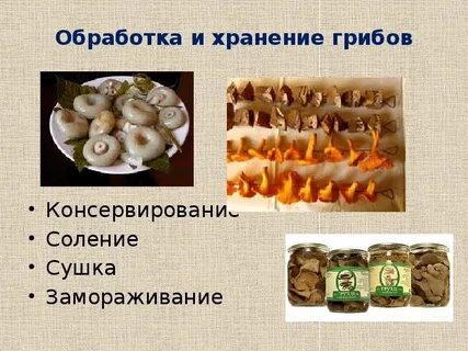 Сколько хранятся грибы закрытые в банки