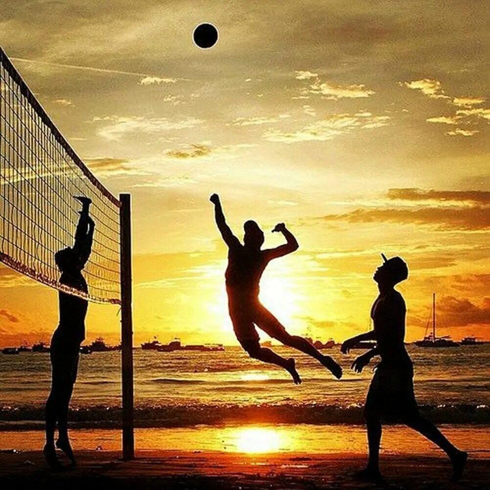 Любимый волейбол. Волейбол надпись. Любимый волейбол. Спорт волейбол. Любимый волейбол.