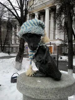 Студенческий хвост тула