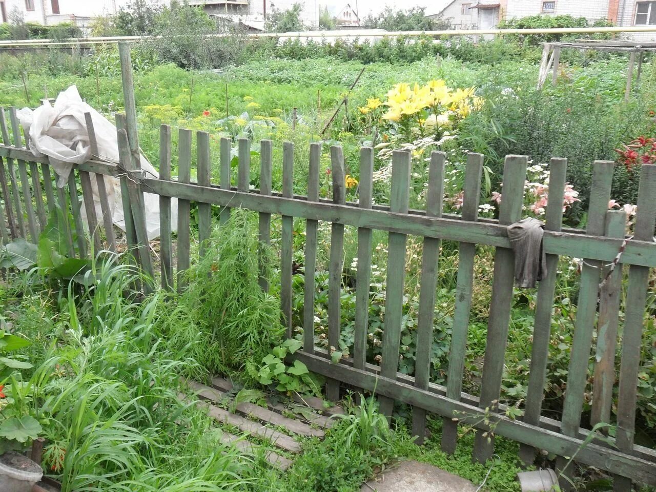 Как лучше сформулировать запрос чтобы найти кота. Найди кота. найдите кота. найди кота на картинке. игра найди кота на картинке.