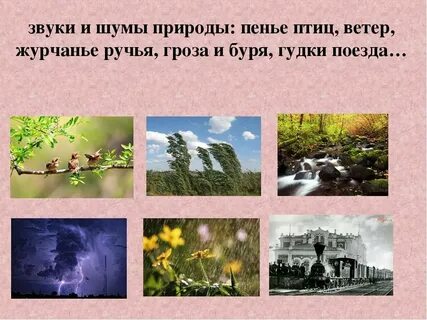 Звук природы короткие