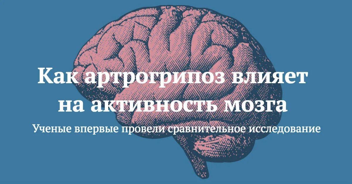 Влияние окружающей среды на мозговую деятельность. Влияние на деятельность мозга.. Как поддержать активность мозга. Влияние на активность мозга