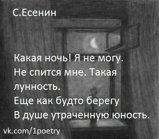 Есенин какая ночь. Какая ночь Есенин стих. Стих какая ночь я не могу. Есенин ночь стих. Стих Есенина ночь.