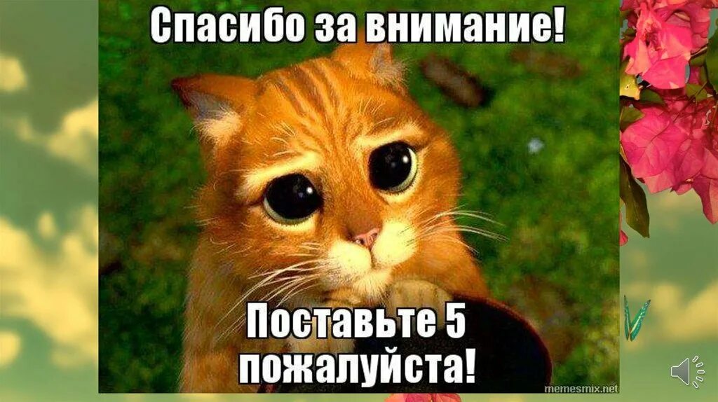 Спасибо за внимание поставьте 5. Кот из Шрека поставьте 5. Спасибо за внимание поставьте 5 для презентации. Спасибо за внимание прикол поставьте 5.