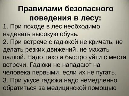 Правила при встрече с гадюкой