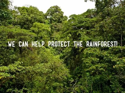 Forest help
