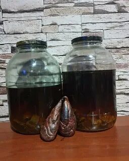 Рецепт приготовления бобровой струи