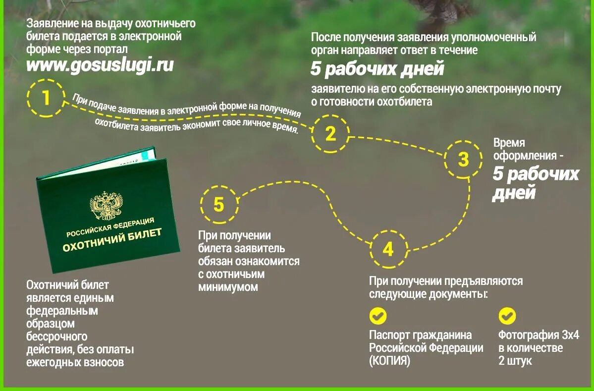 Документы на охотничий билет. Охотничий билет единого федерального образца. Получить охота. Охотбилет единого образца. Список документов для получения охотничьего билета.
