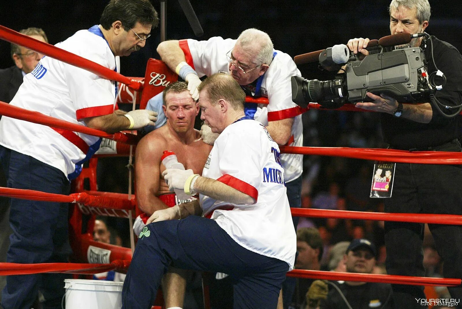 Микки уорд боксер. Микки уорд боксер. Микки уорд боксер семья. Микки уорд сейчас. Микки уорд.