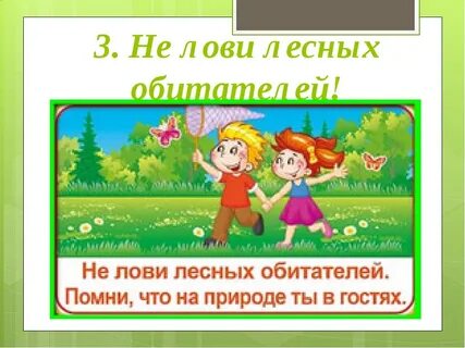 Лови домой