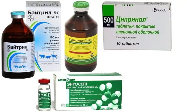 Стафилококк лечение. Золотистый стафилококк препарат. стафилококк золотистый антибактериальная терапия. препараты при стафилококке. золотистый стафилококк антибиотики.