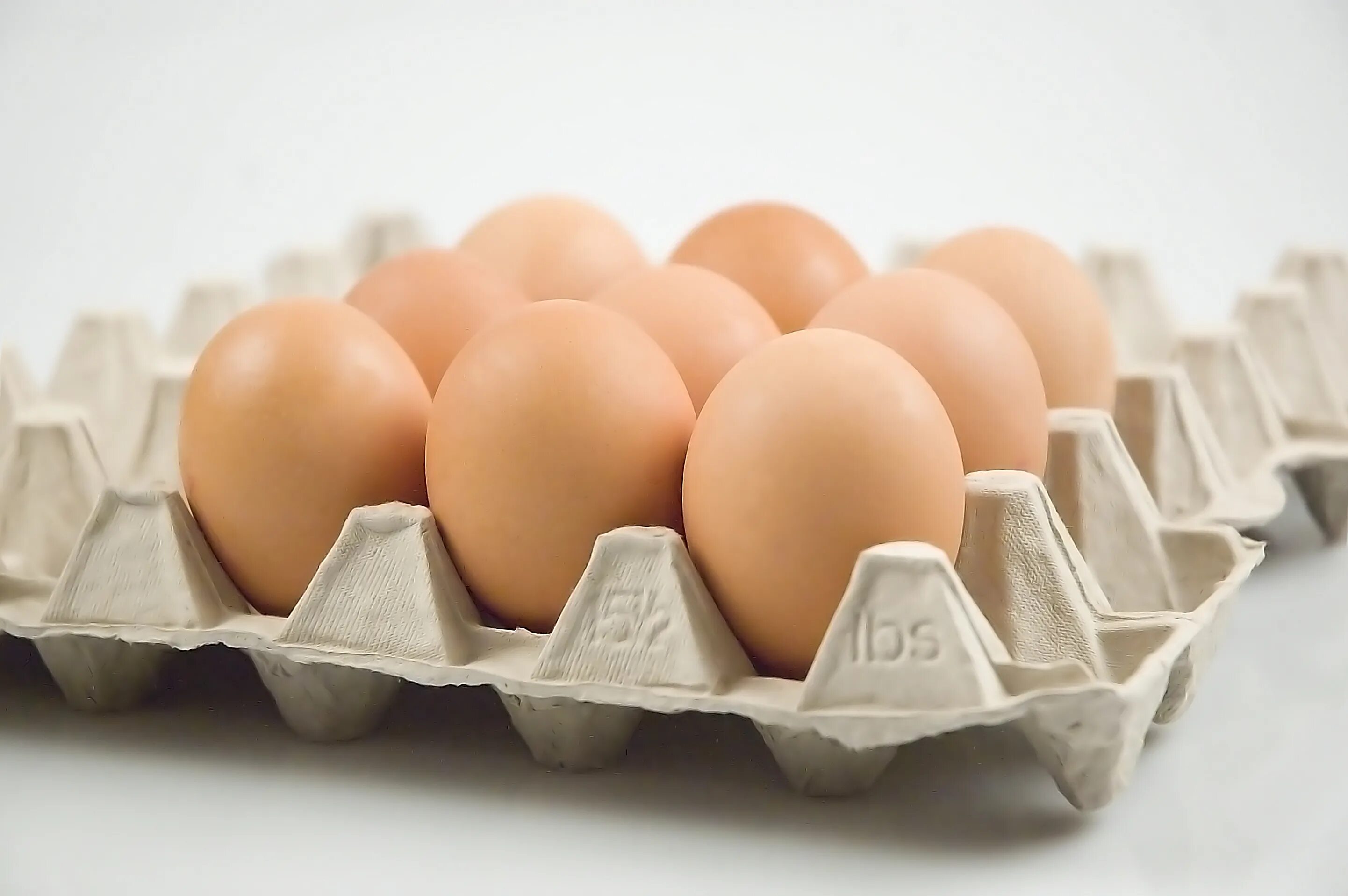 Egg на русском