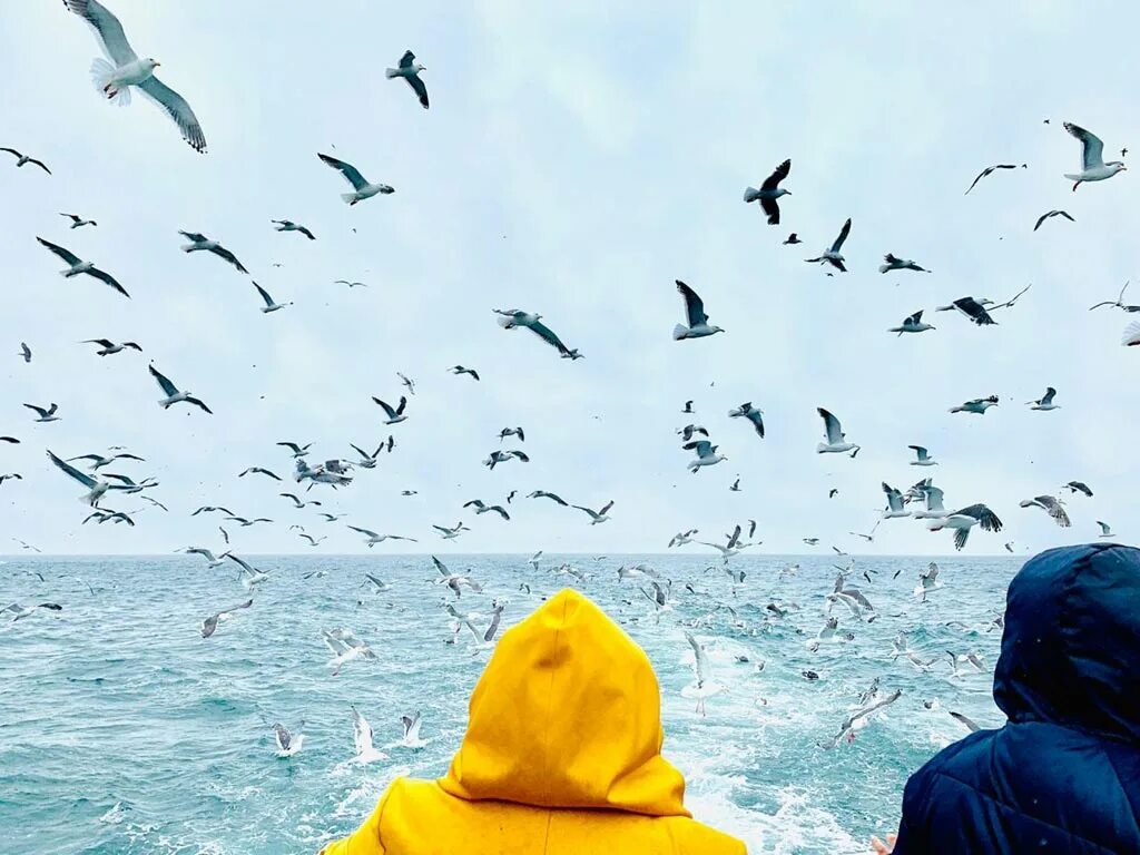 К чему снится гулять по морю