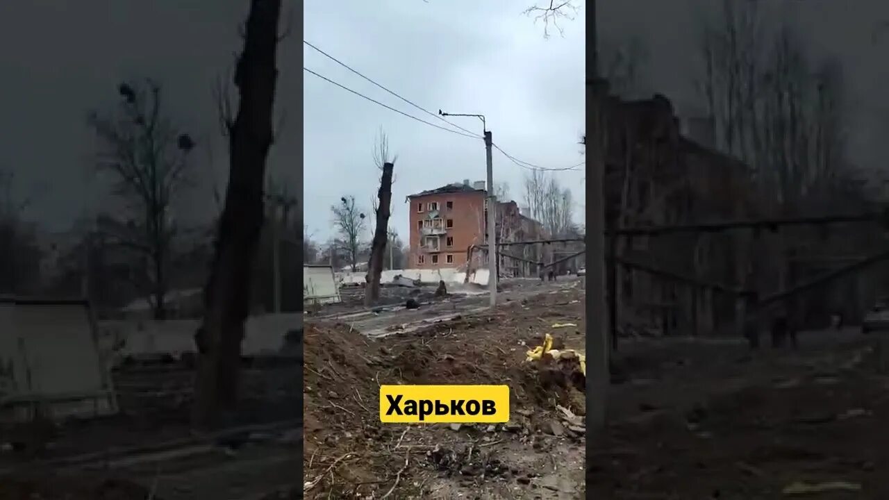 В харькове сейчас есть свет. Харьков сейчас. Харьков 2022. Видео из Харькова.