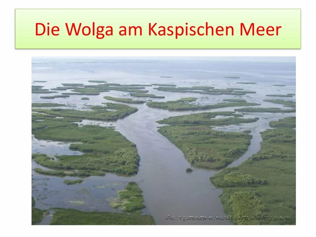 Река волга впадает в каспийское море знаки. Дельта Устье реки Волги. Астрахань Устье Волги. Устье Волги Каспийское море. Устье реки Волга Дельта эстуарий.