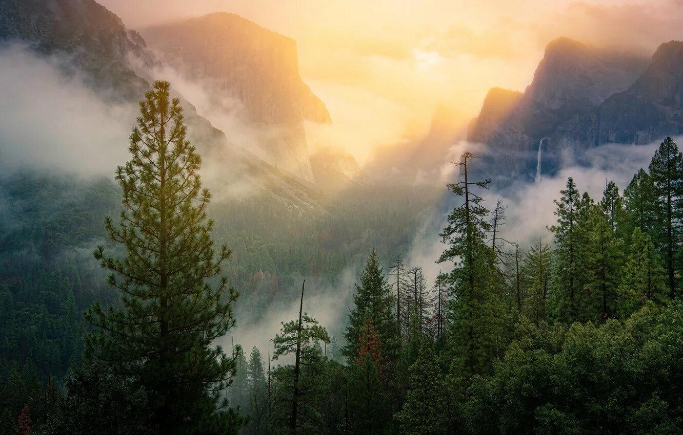 Национальный парк Йосемити в тумане. Долина Йосемити Эстетика. Йосемити хвойный лес. Туманный лес Таганай. Лес горы слились все