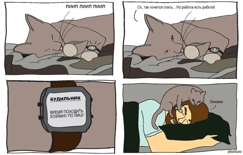 Есть люди которые засыпают