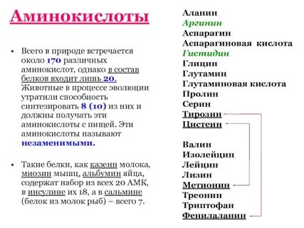 Белковая кислота