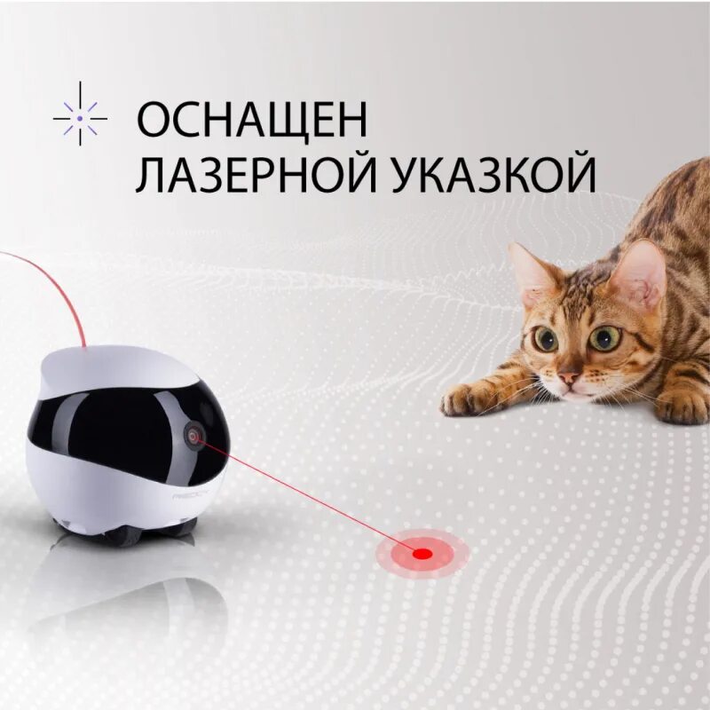 Робот reddy air. Reddy air робот. робот редди эйр. reddy air реклама.