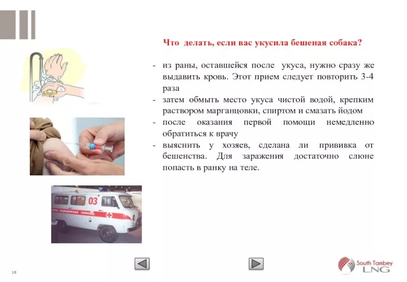 Что делать если укусила собака. Прививка при укусе собаки. Ребенка покусала собака что делать. Что делать при укусе собаки. Ребенка покусала собака что делать.