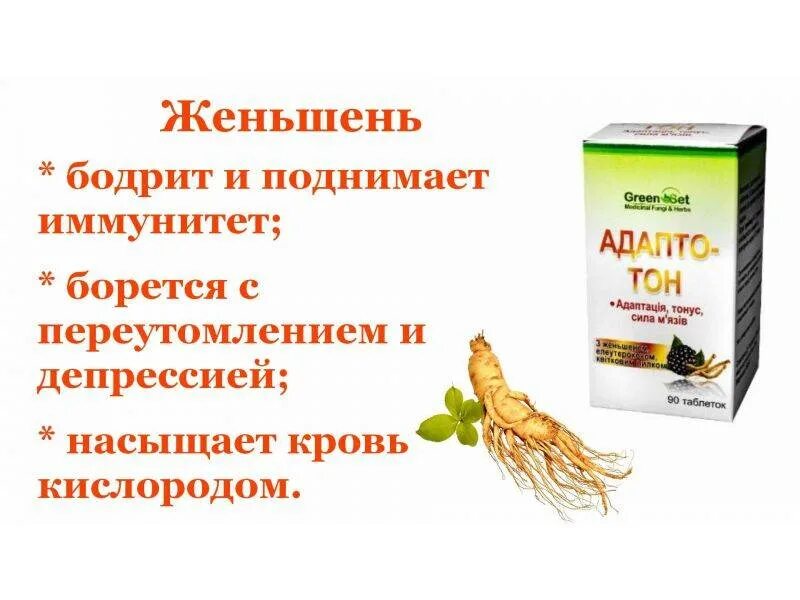 Женьшень для чего применяется. Женьшень для иммунитета. экстракт женьшеня. настойка женьшеня. настойка женьшеня для иммунитета.