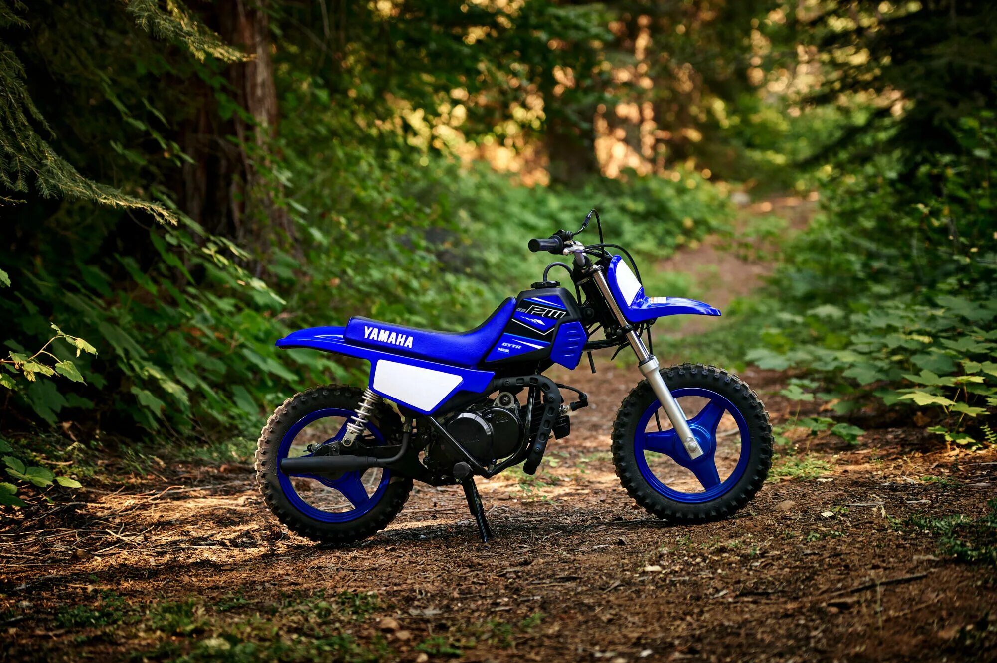 Ямаха пв 50. Мопед yamaha 50 кроссовый. Детский мотоцикл yamaha pw50. Yamaha pv50. Ямаха пв 50.