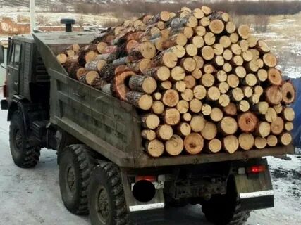 Полезть 10