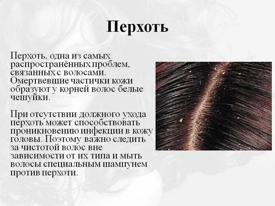 Себорея кожи головы причины и лечение фото Мытьё головы в Ижевске: 24 исполнителя с отзывами и ценами на Яндекс Услугах.