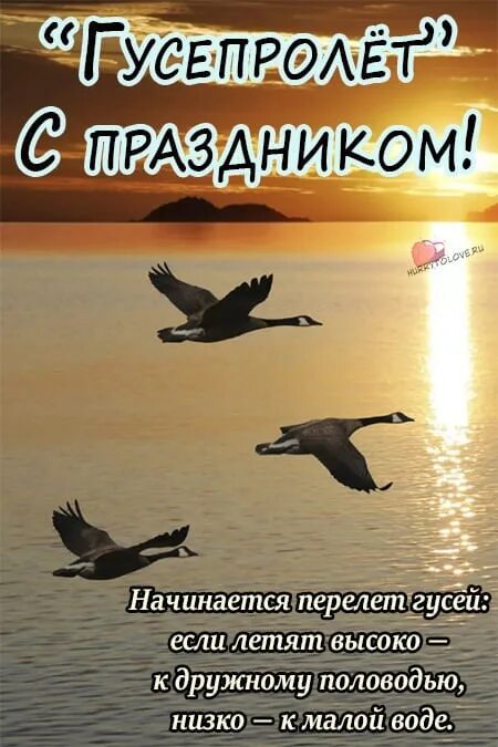 29 сентября день гуся. 28 сентября праздник.
